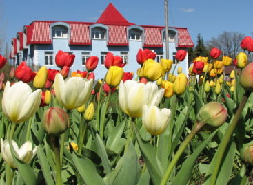 Tulp Hypotheken biedt ook 90% LTV aan