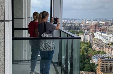 We slachten koeien voor vegetariërs in de woningbouw