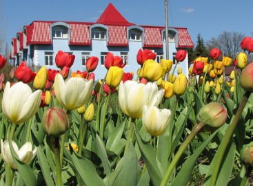 Spaanse Bankinter neemt Tulp Group over