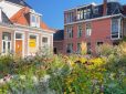 Groen steeds belangrijker voor woningzoekenden