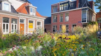 Groen steeds belangrijker voor woningzoekenden